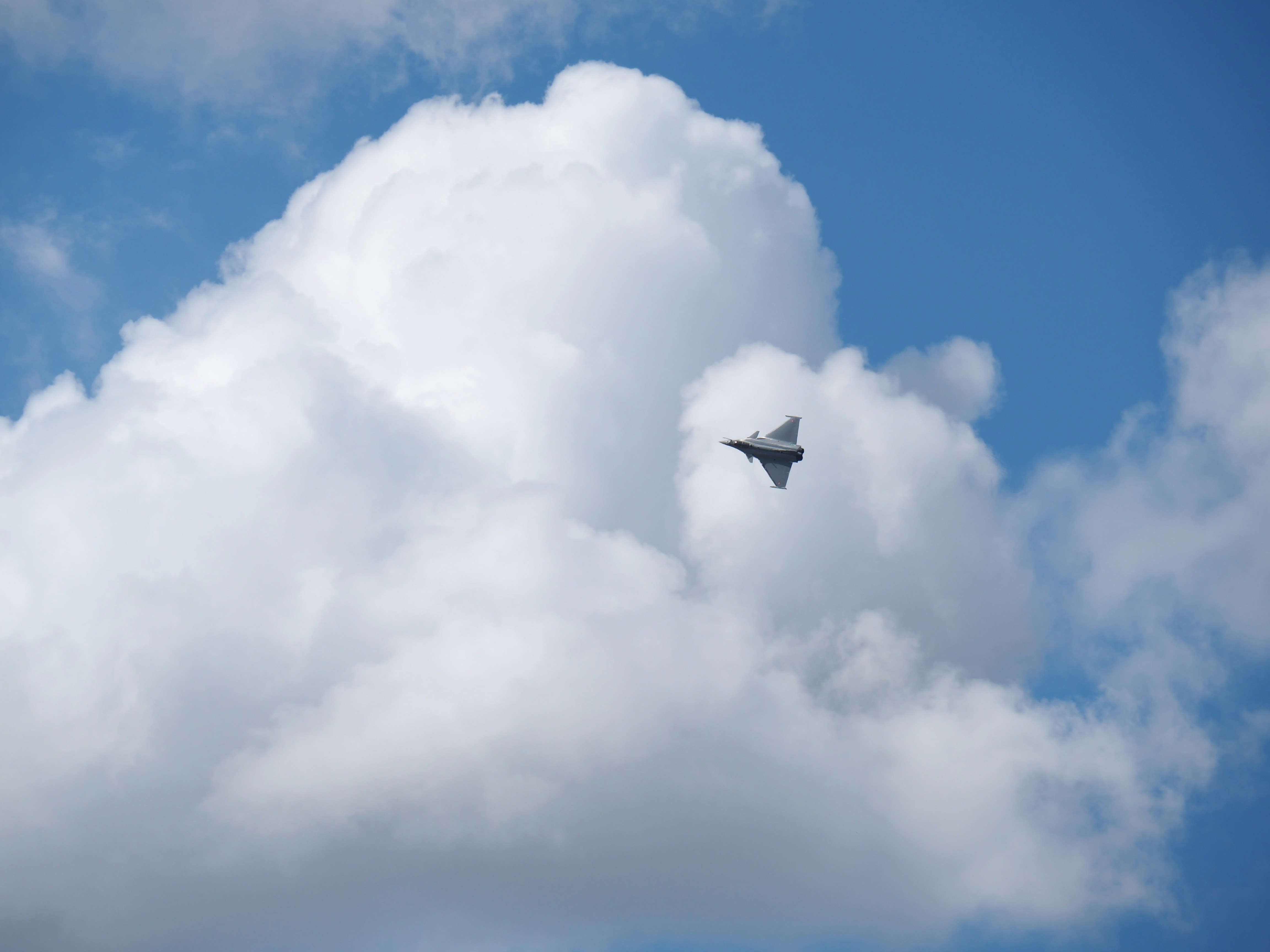 Photo by nimbus_vulpis