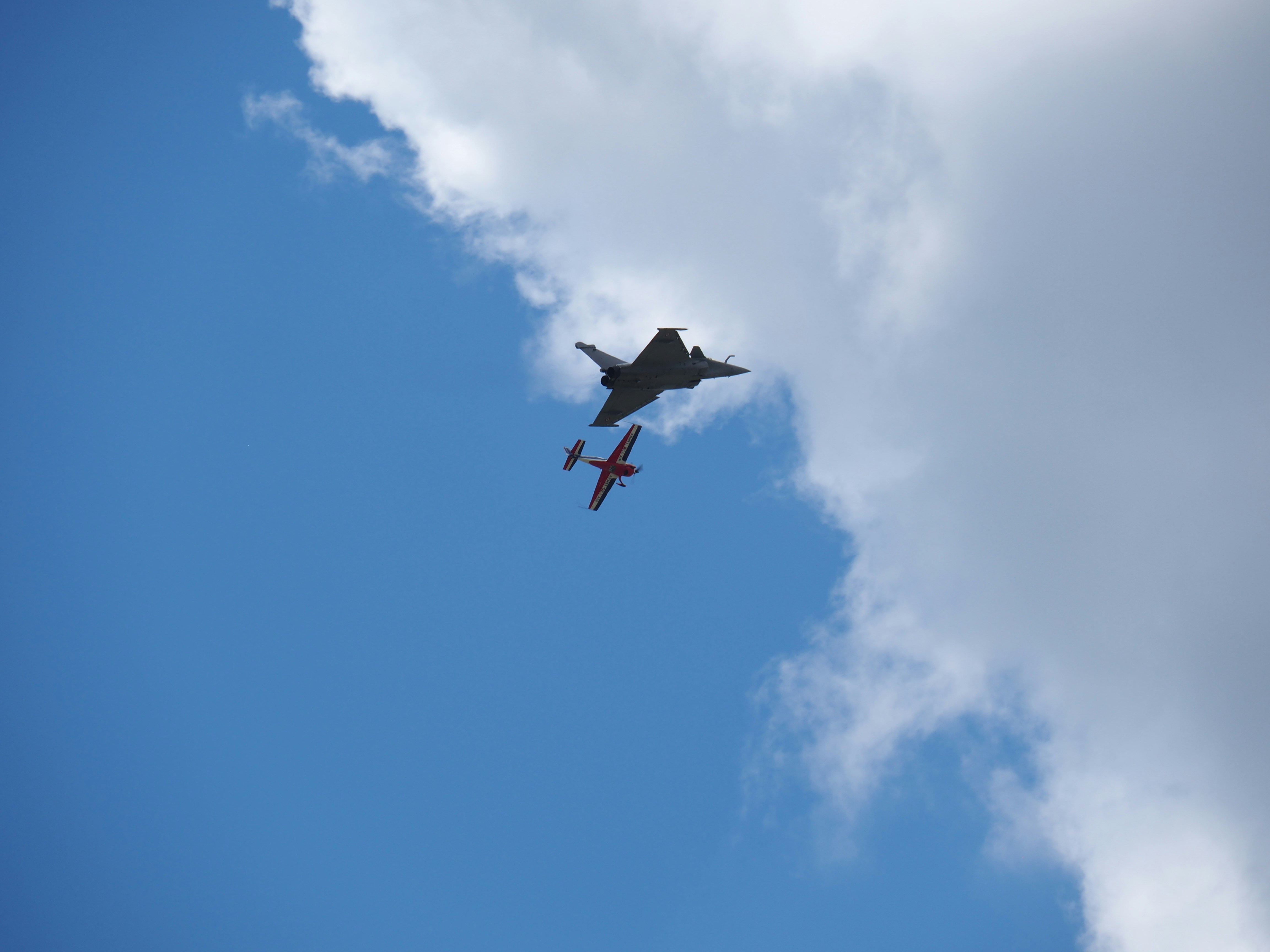 Photo by nimbus_vulpis