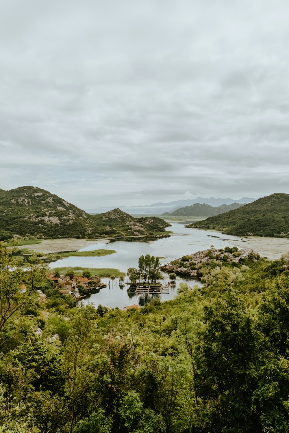 landscape photo of a lake and green forest