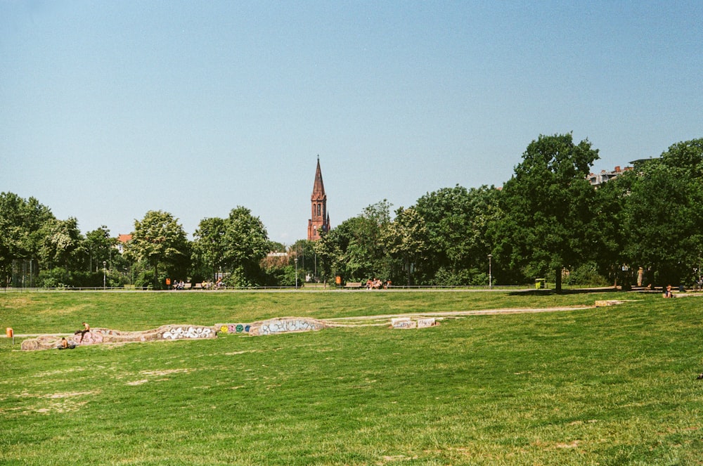 Campo de hierba verde