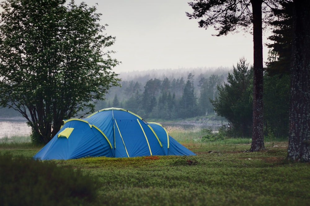 blue and yellow camping tent
