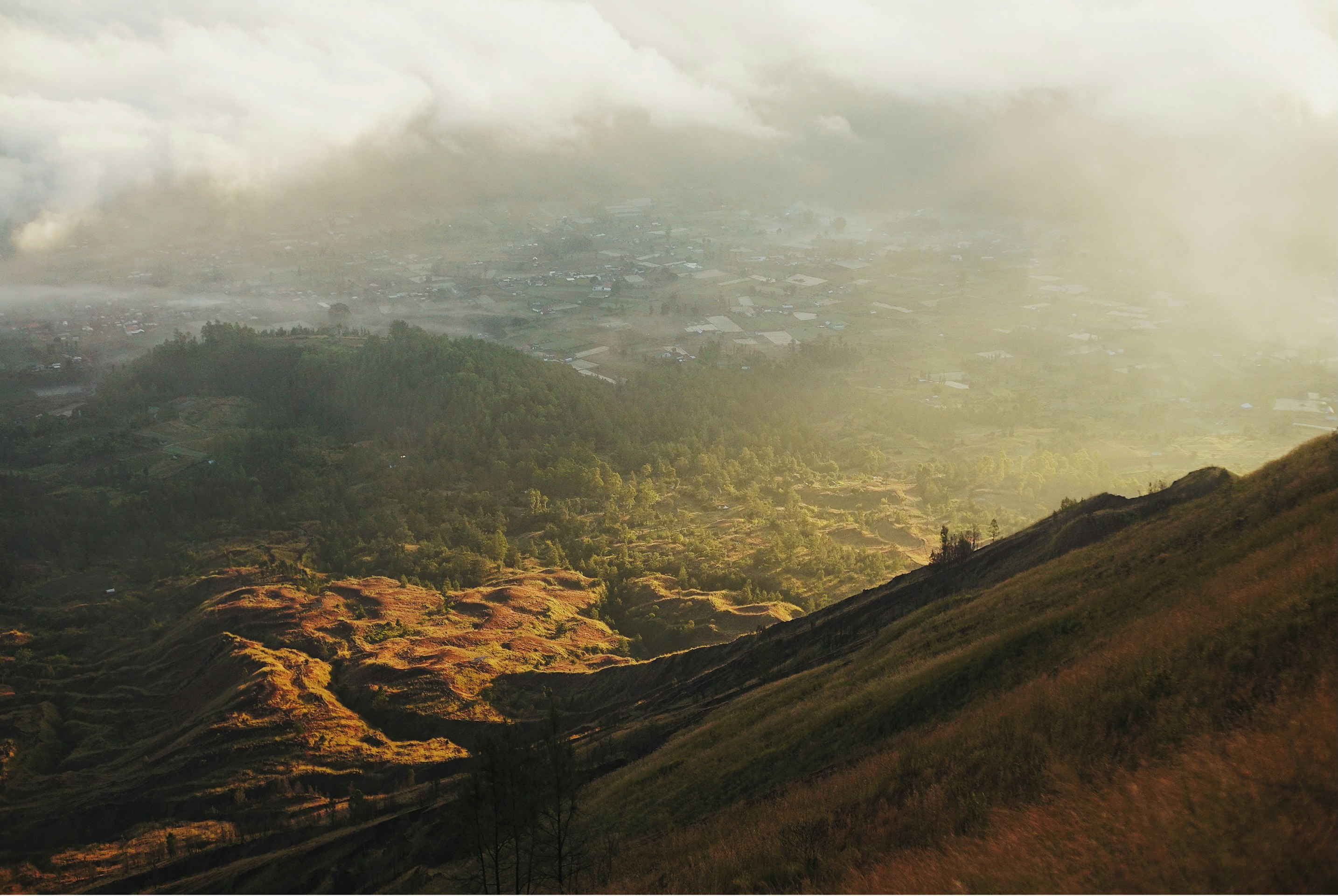 Photo by karl_janisse