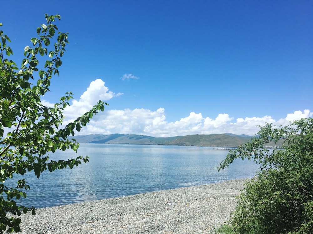 body of water across green mountain