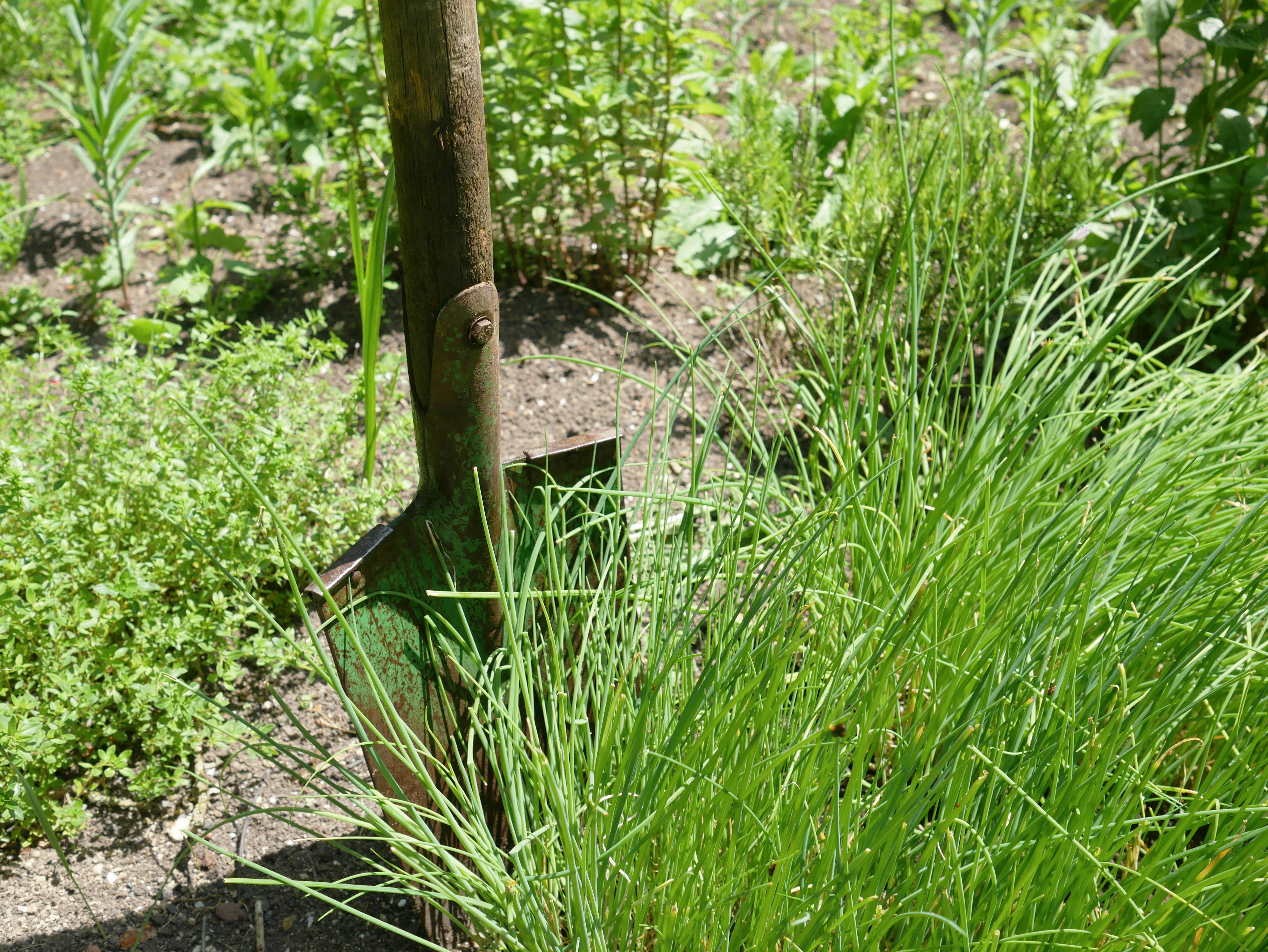 Heavy-Duty Garden Shovel