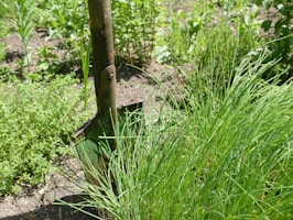 A durable shovel with a comfortable grip leaning against a vegetable patch ready for tilling.
