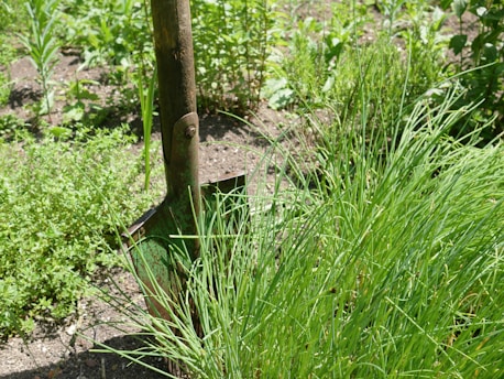 A durable shovel with a comfortable grip leaning against a vegetable patch ready for tilling.