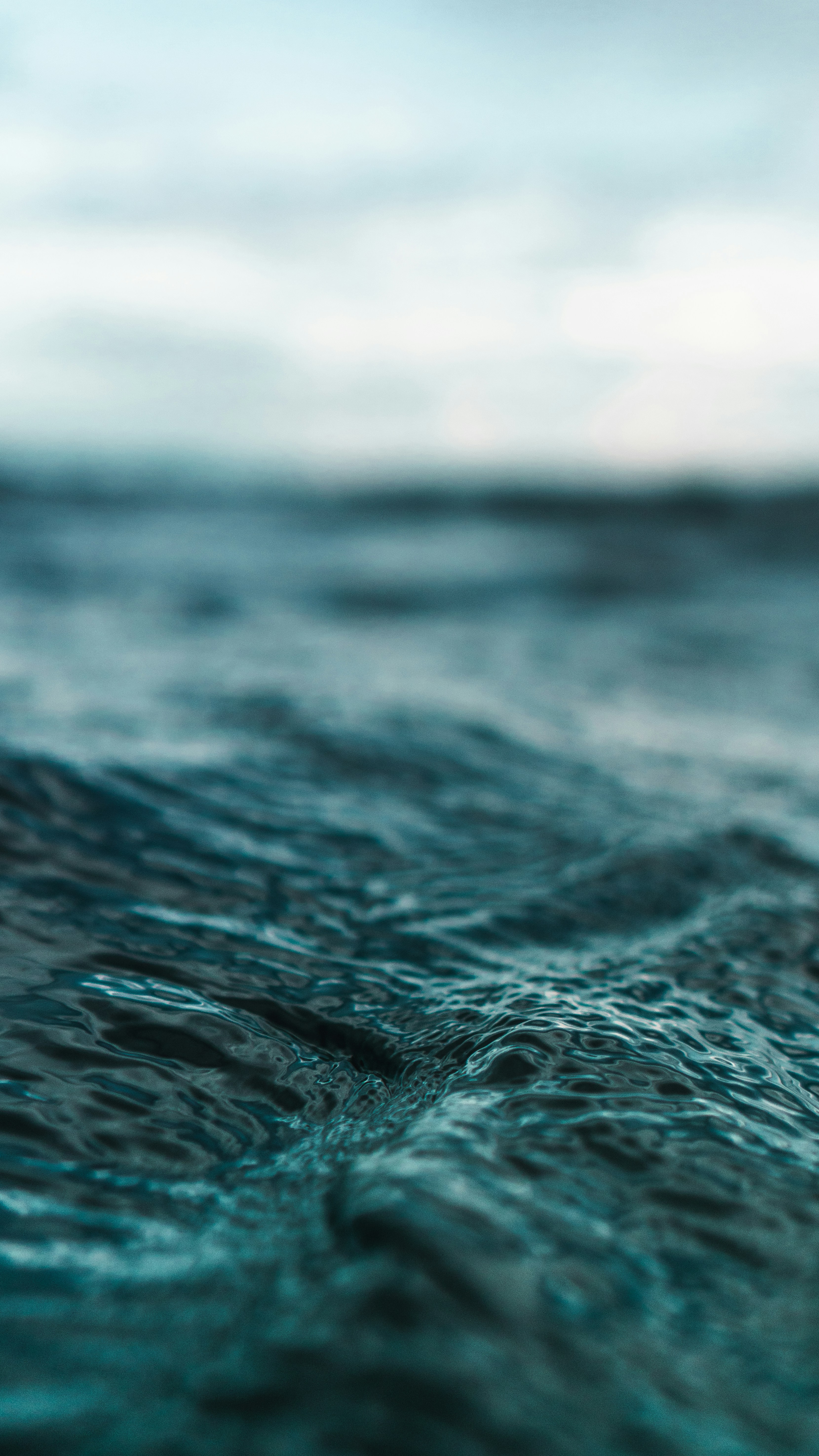 Photo by clintbustrillos