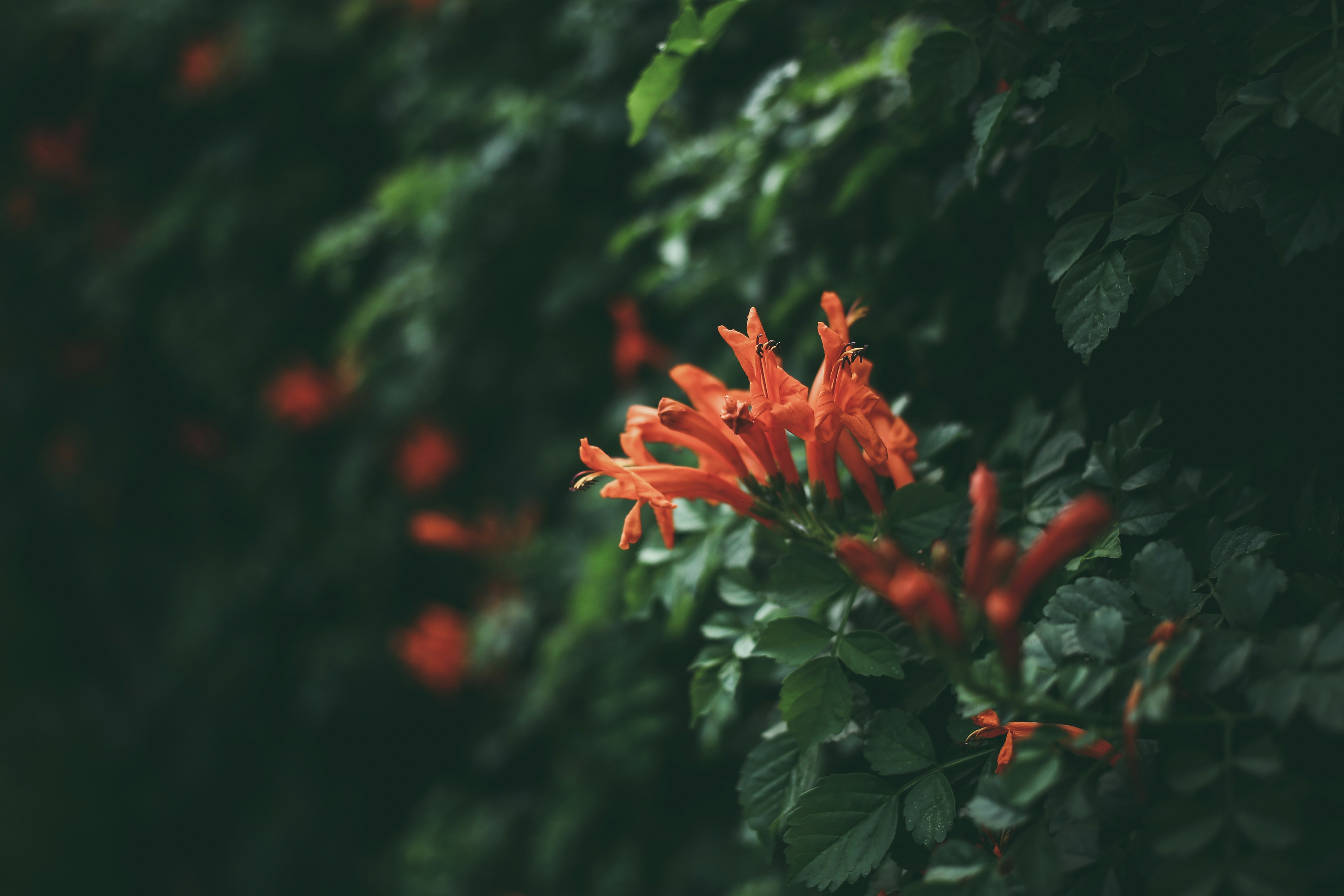 Photo by veecee_photography