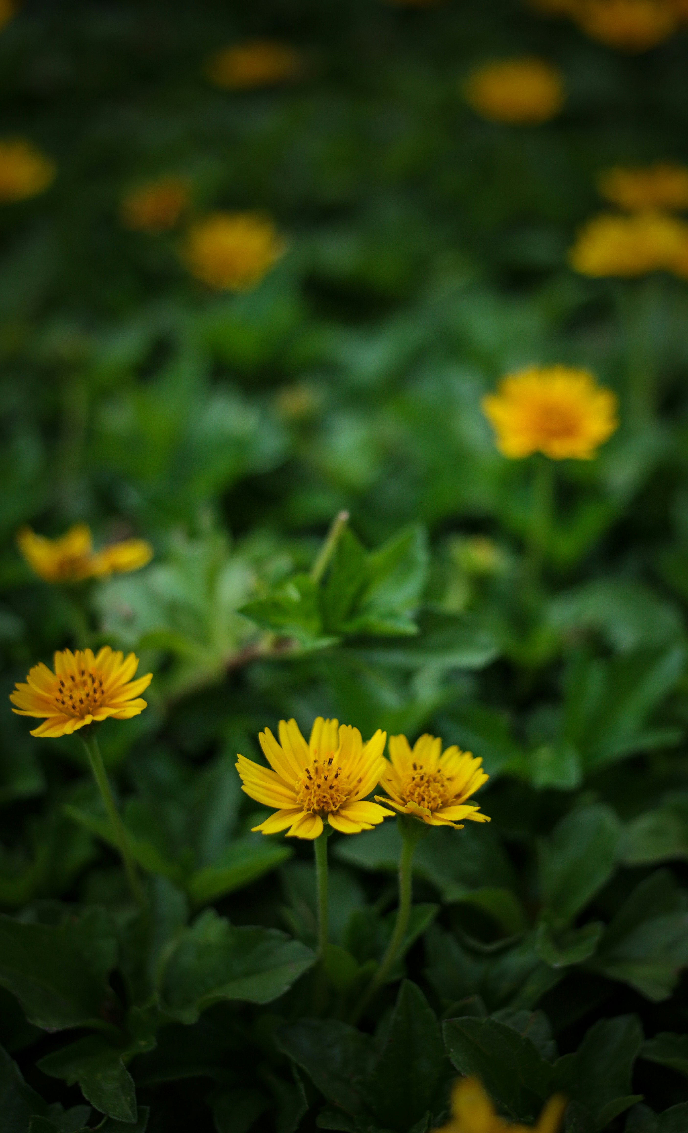 Photo by veecee_photography