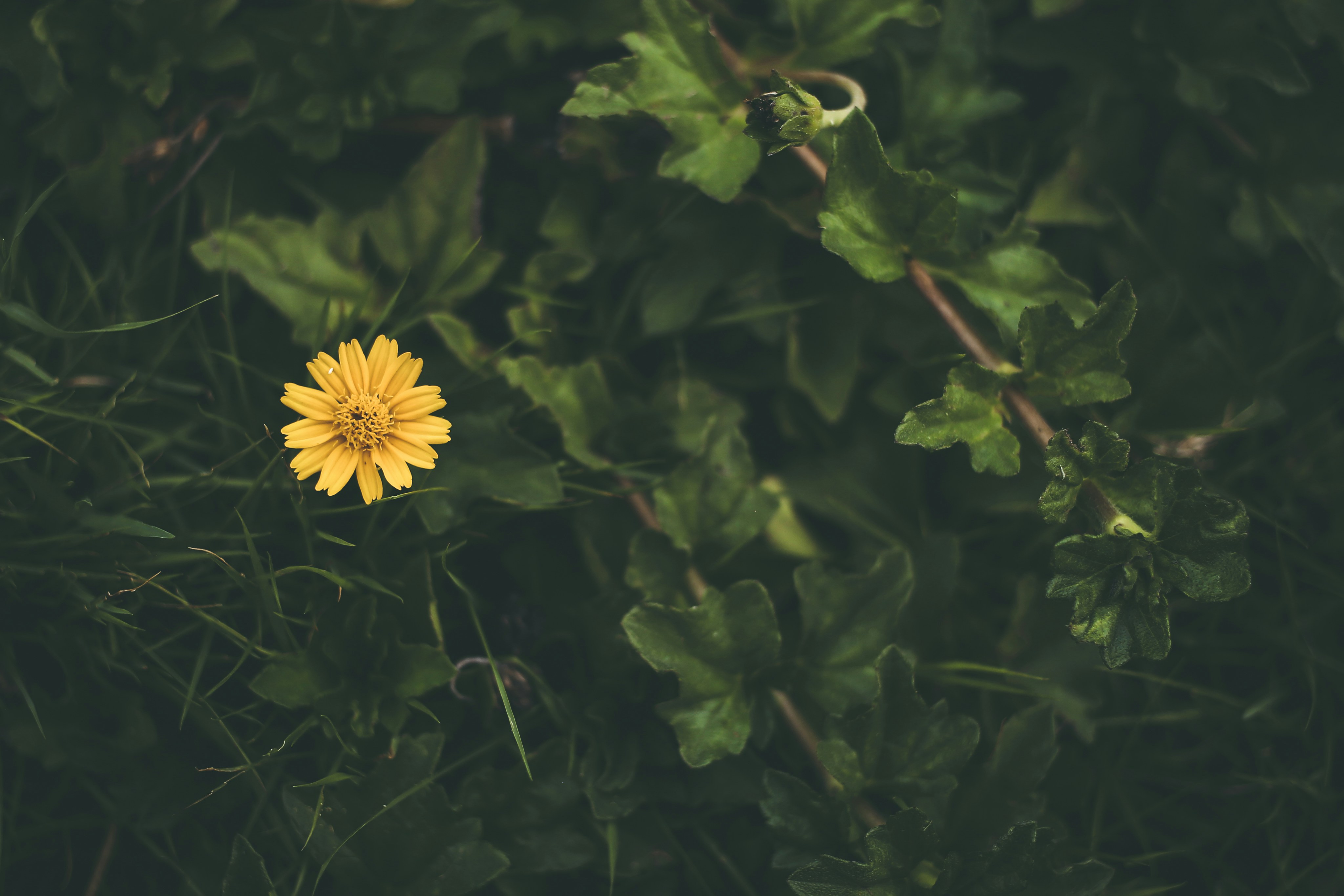 Photo by veecee_photography