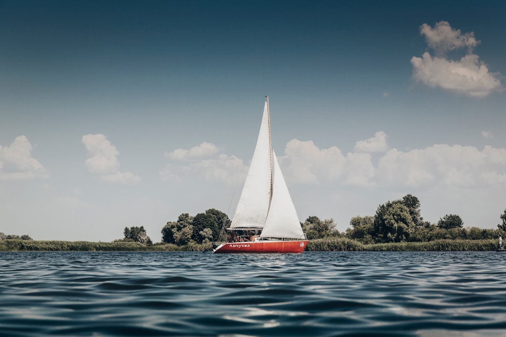 velero rojo en el cuerpo de agua durante el día