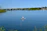 A happy customer paddling on a calm blue lake surrounded by lush greenery.