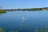 Person kayaking on a calm lake surrounded by lush greenery under a clear sky.