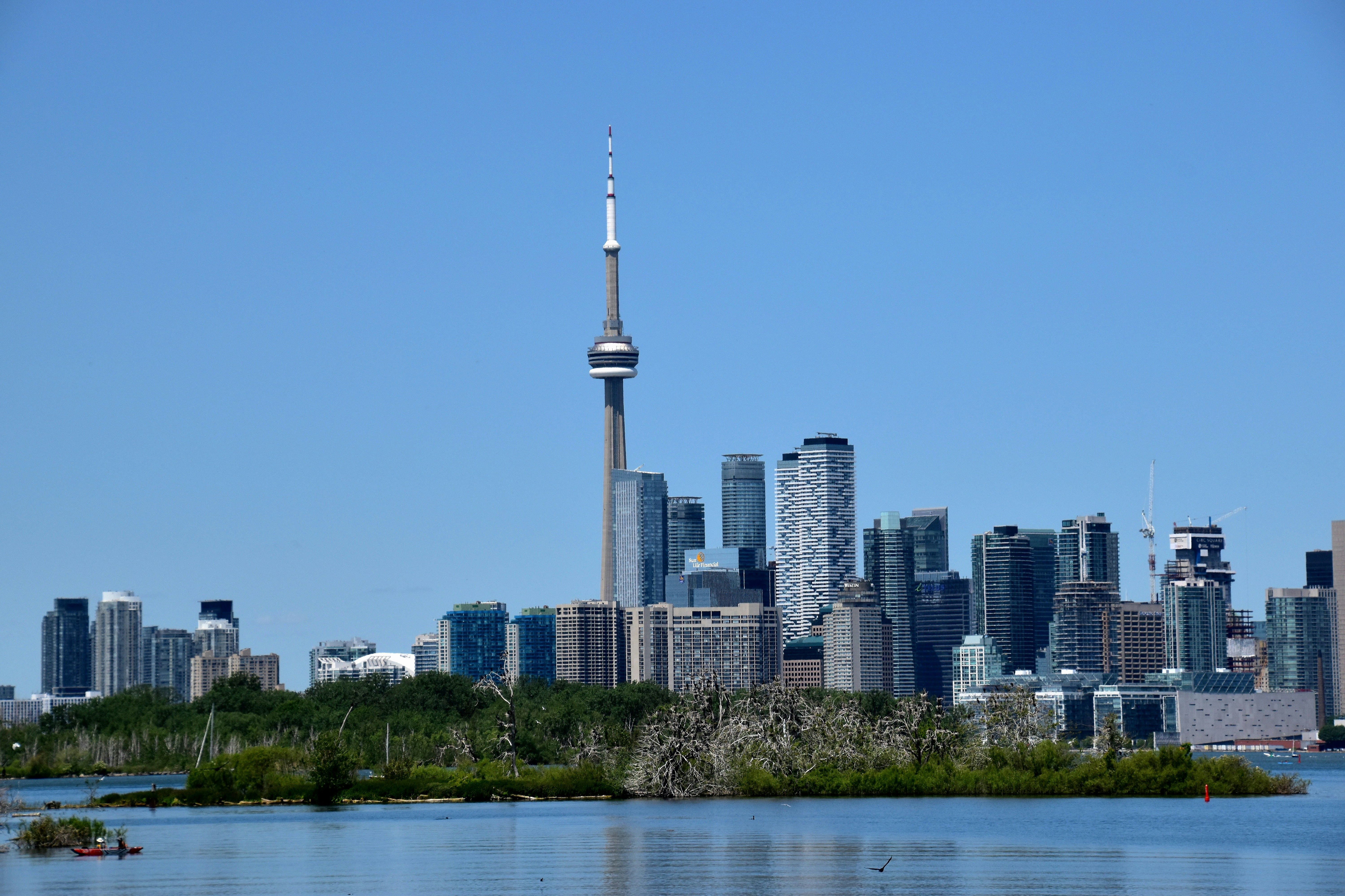 panoramic photo of CN tower, 