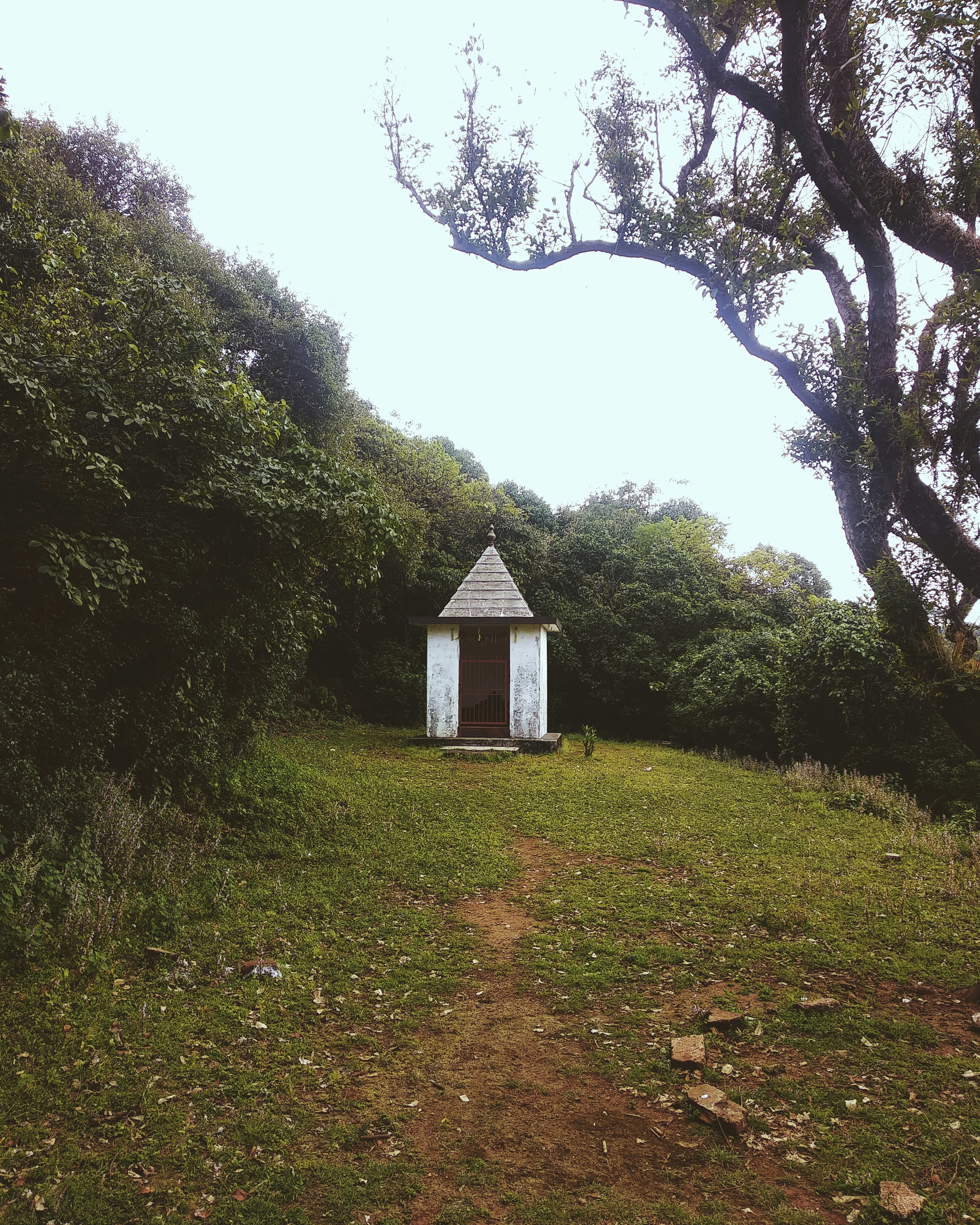 white and brown barn surrounded by trees