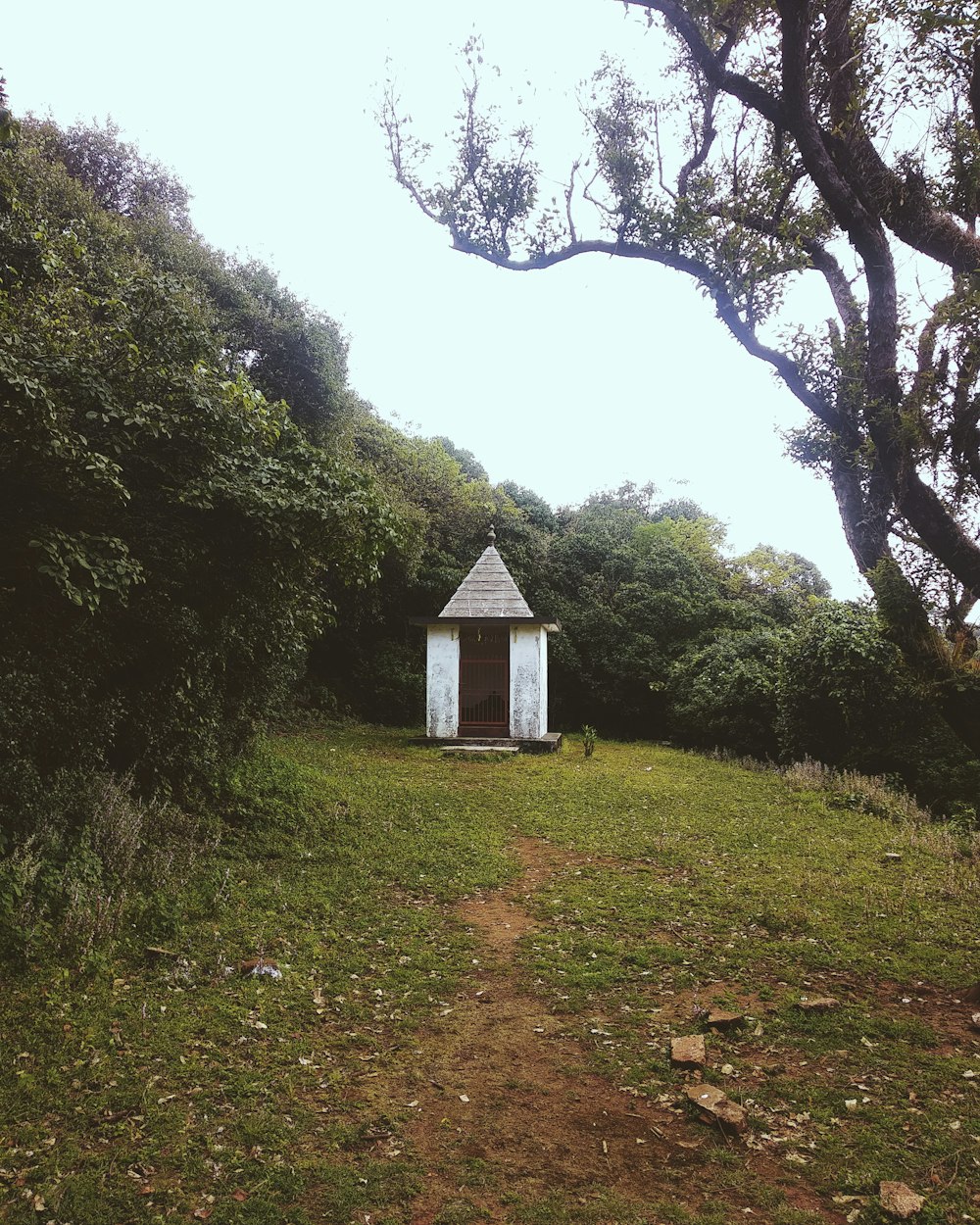 white and brown barn surrounded by trees