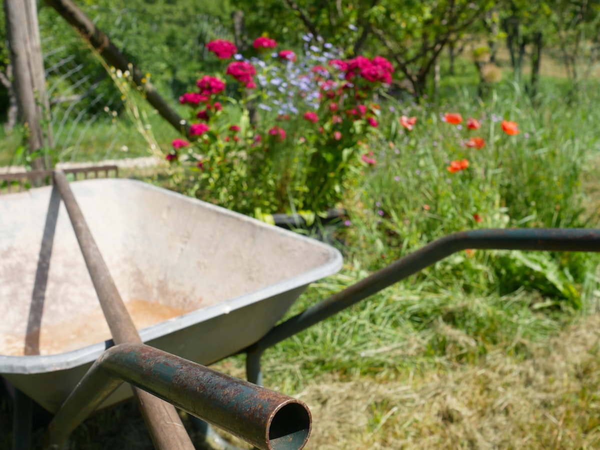 Seasonal Clean-ups