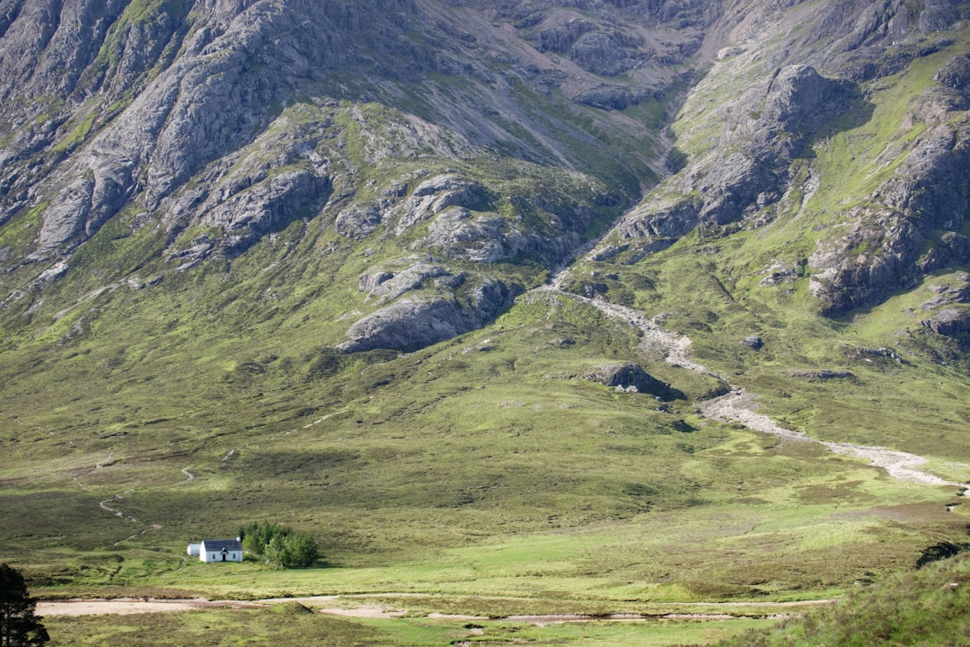 house on green field