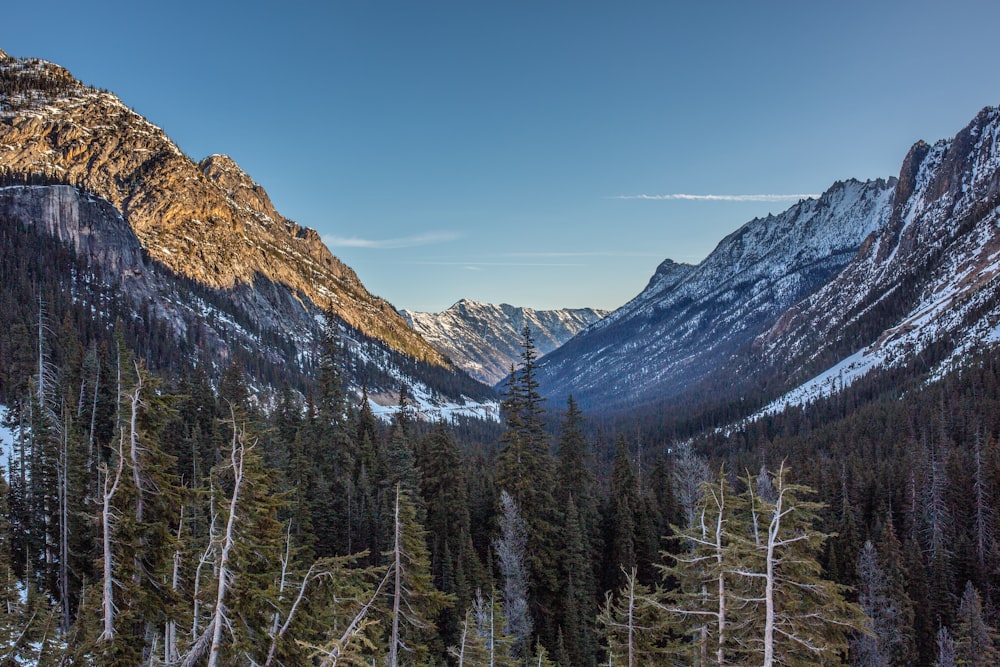 aerial photography of snow covered mountains