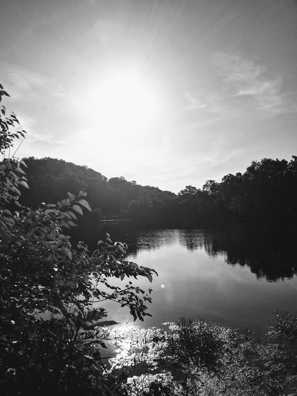 a black and white photo of a lake