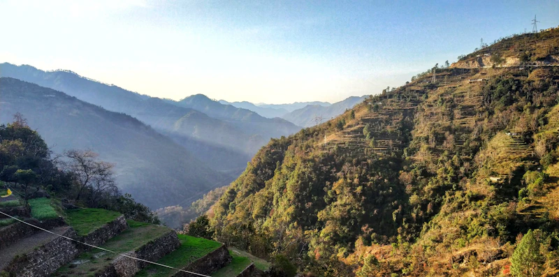 Best Budget Hostels in Dehradun That Are Actually Worth Staying In