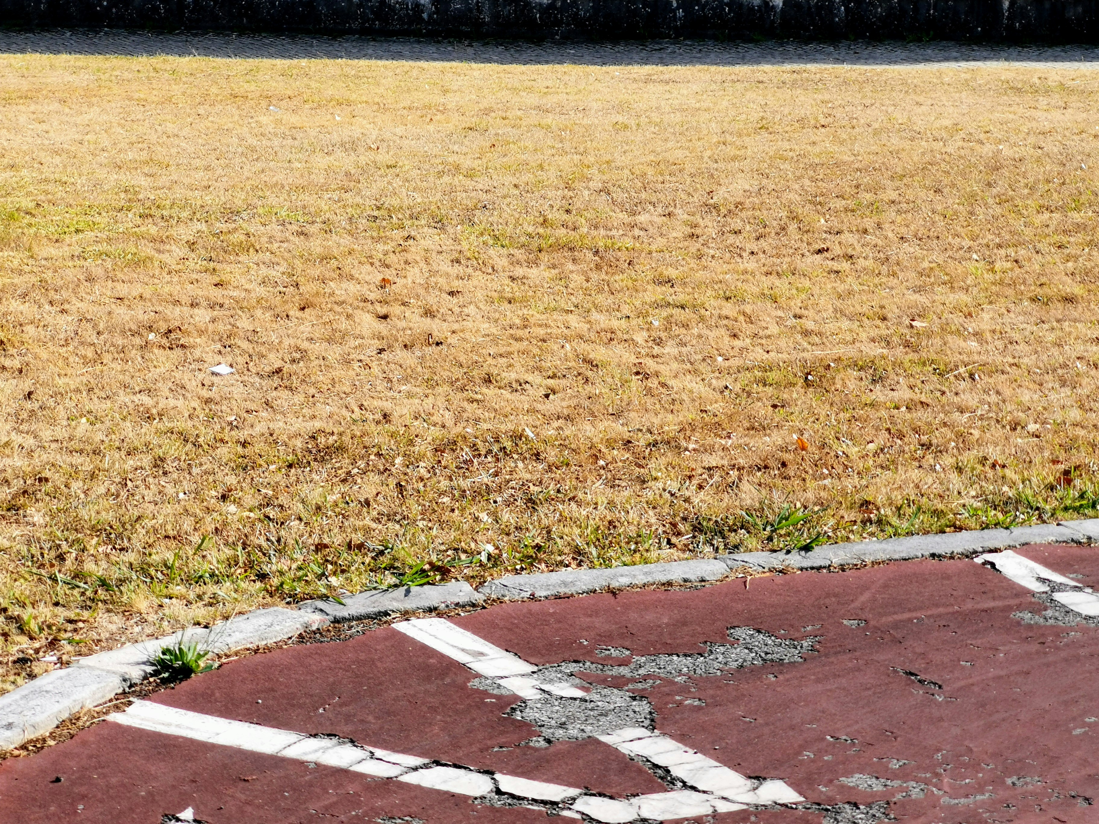 The Decline of Sports: Unfairness, Rigging, and Waning Interests