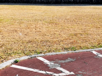 A worn-out outdoor sports court with visible cracks and faded red paint is bordered by a dry grassy field. The grass appears yellow-brown, suggesting a lack of water or seasonal change.