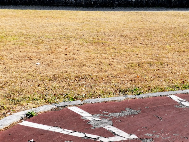 A worn-out outdoor sports court with visible cracks and faded red paint is bordered by a dry grassy field. The grass appears yellow-brown, suggesting a lack of water or seasonal change.