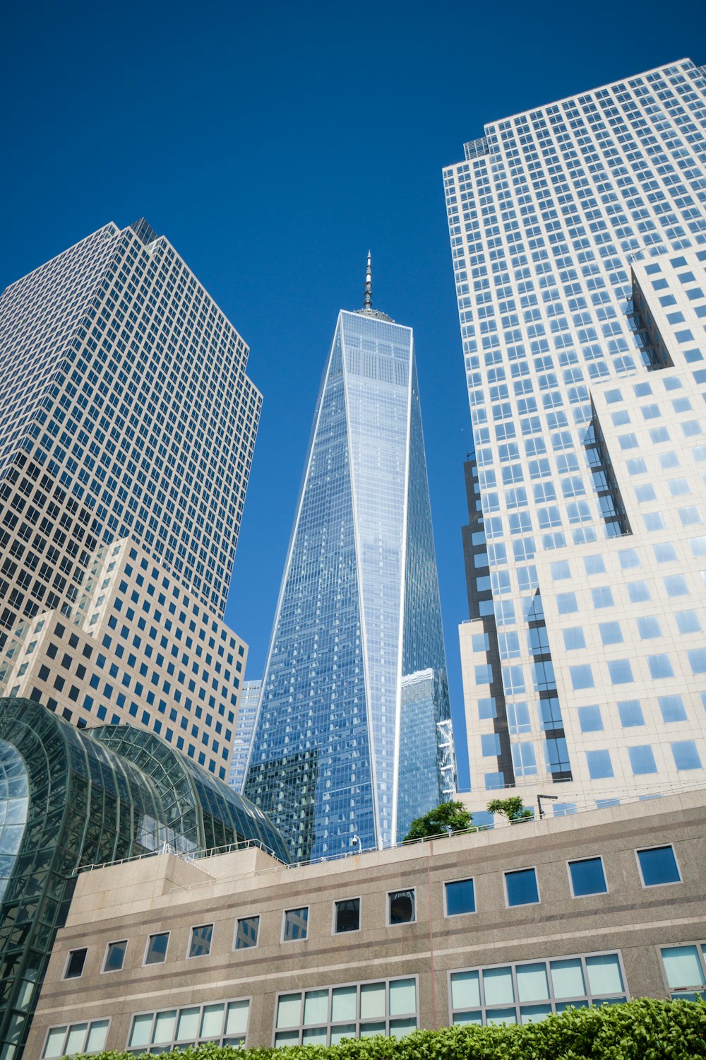 low-angle photography of building