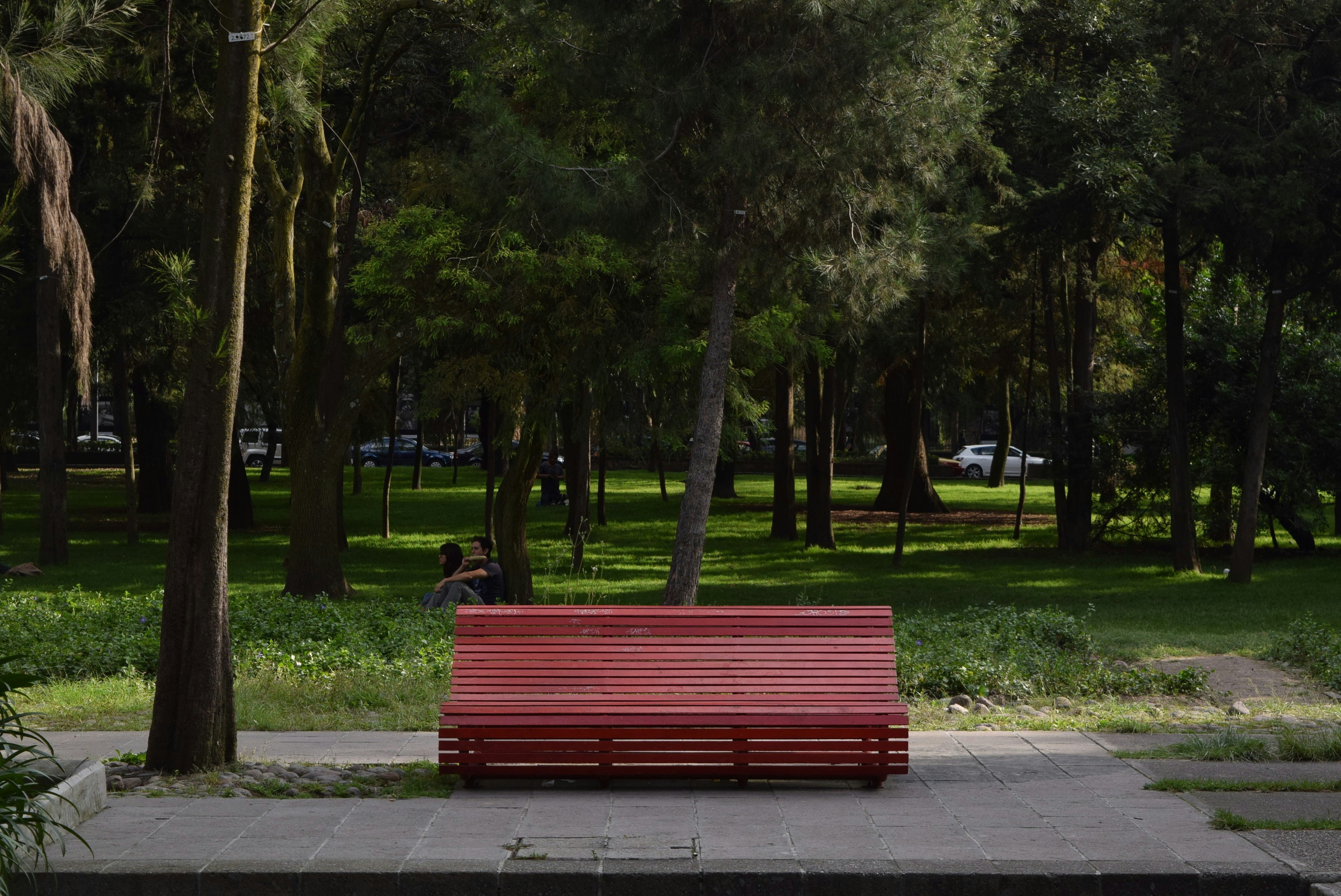 red wooden bench during daytime, Quiet place in the middle of the city