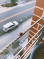 A ladybug is perched on a metal railing with a blurred city street in the background. The focus is on the ladybug, displaying its bright red shell with black spots.