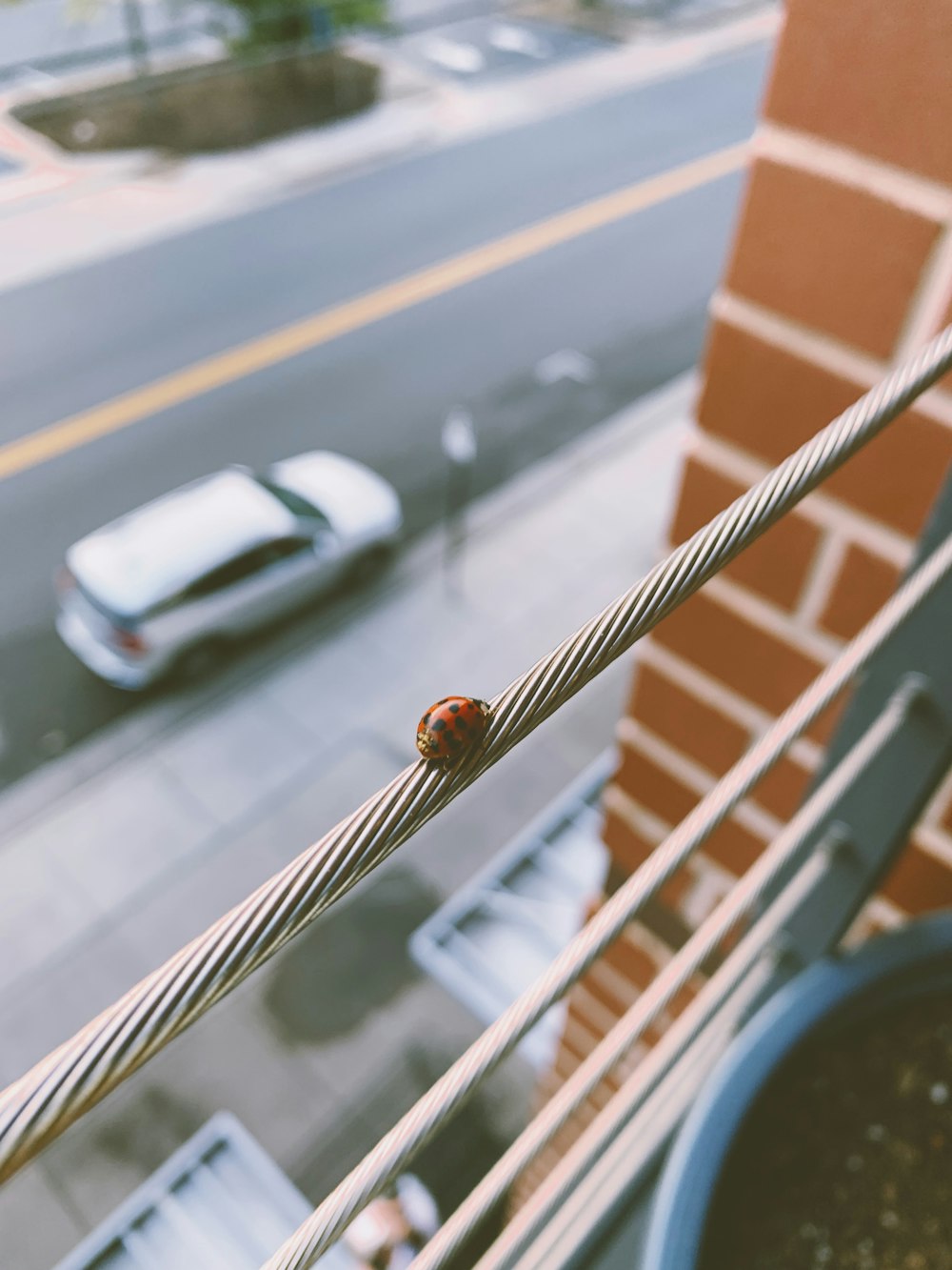 vehicle parked beside road