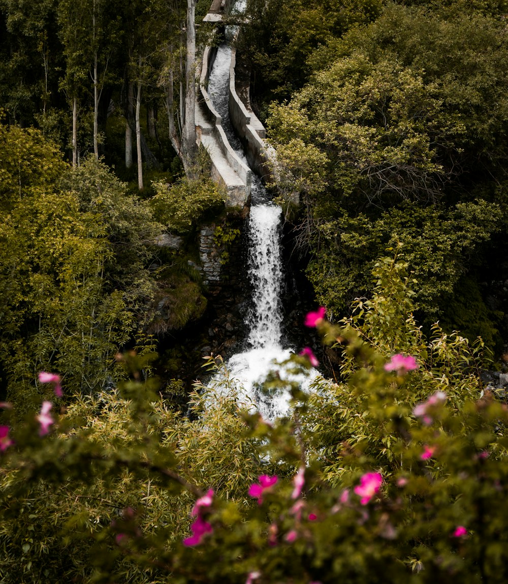 waterfall and pink flowers