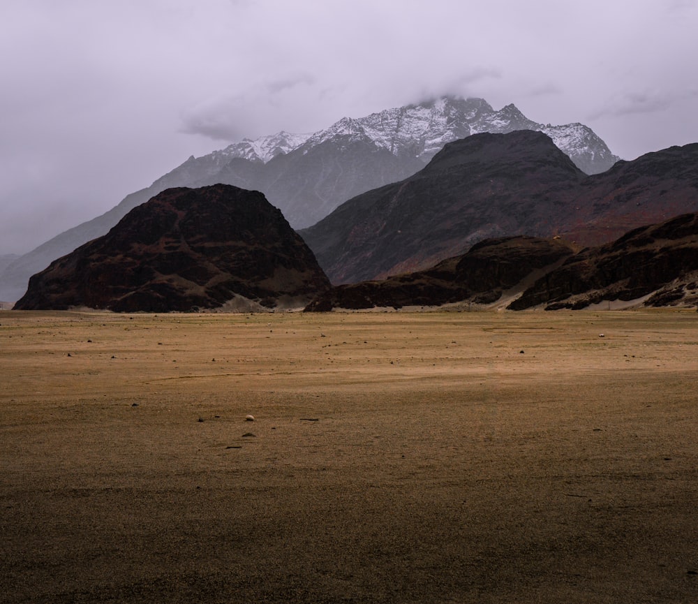 Campo de hierba marrón y montañas