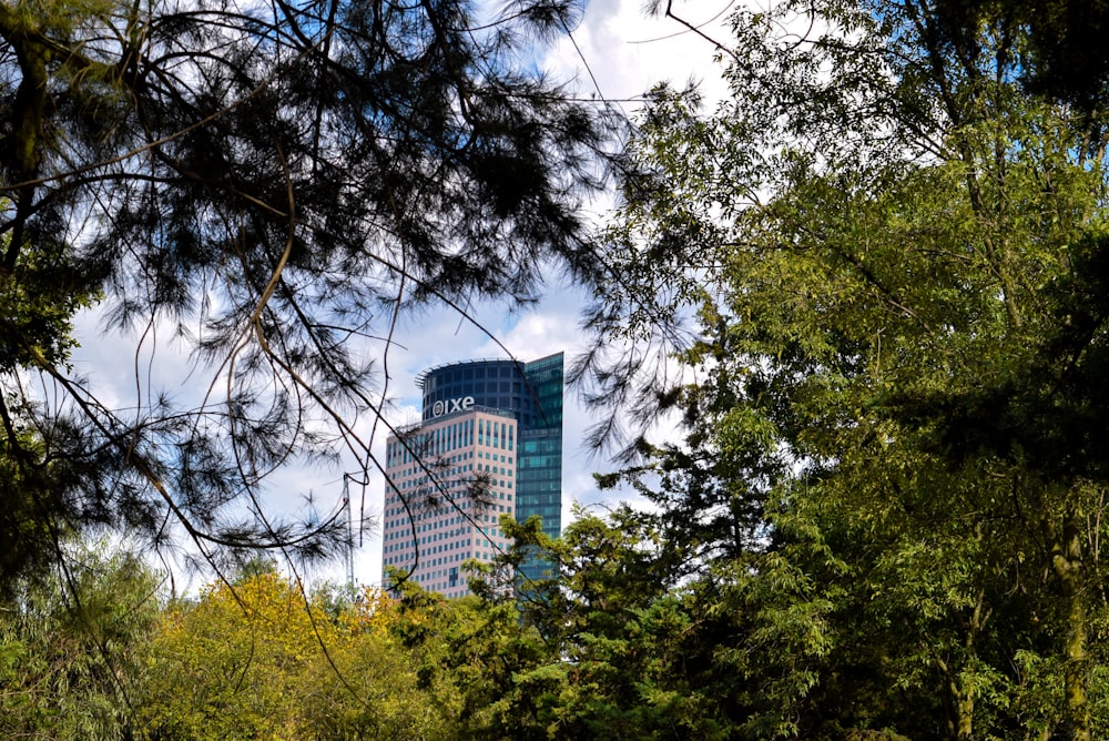 Edificio de hormigón blanco detrás de los árboles