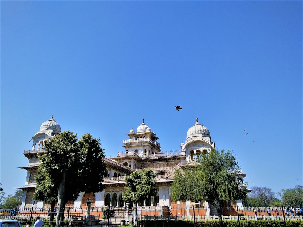 green trees beside white concrete dome buildings