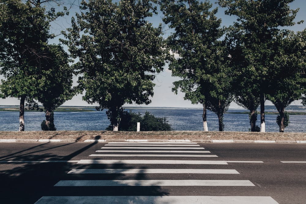 zebra stripes on road