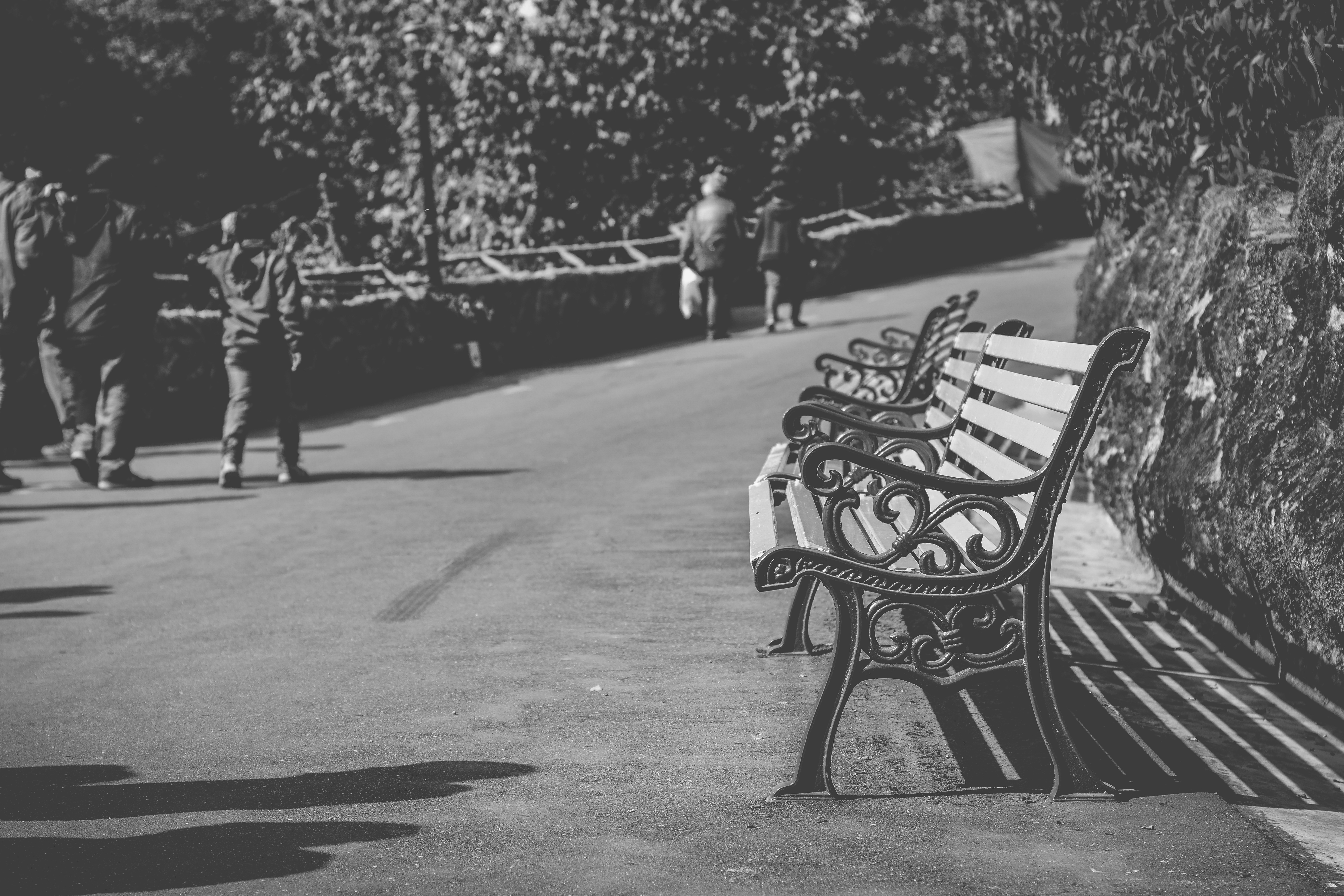 Grayscale Photo Of Benches Photo Free Black And White Image On