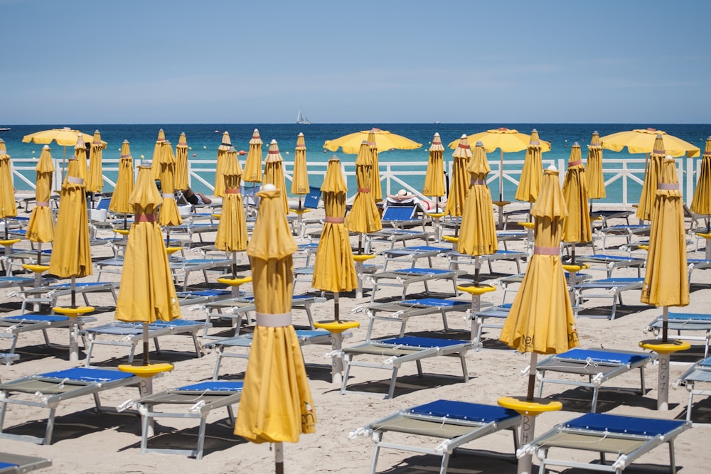 yellow umbrellas near seashore