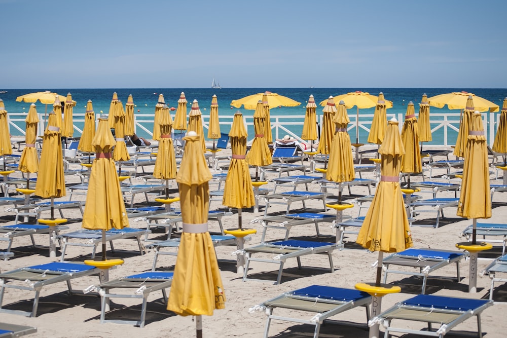 ombrelloni gialli vicino al mare