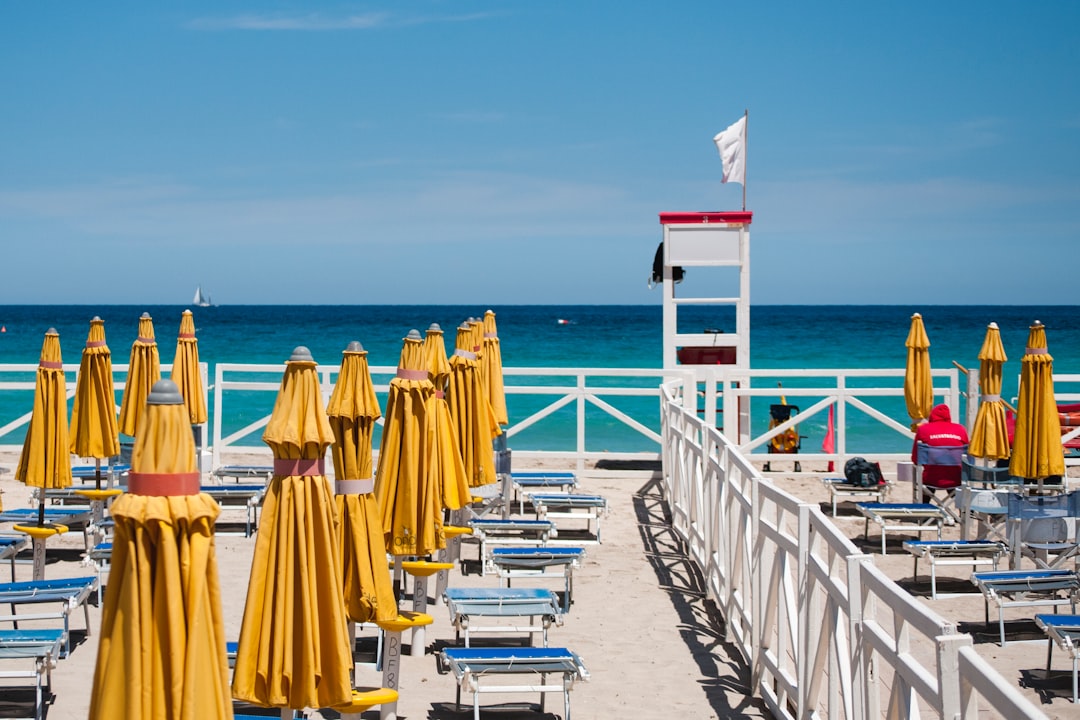 lounge chairs with parasols at the beach during day