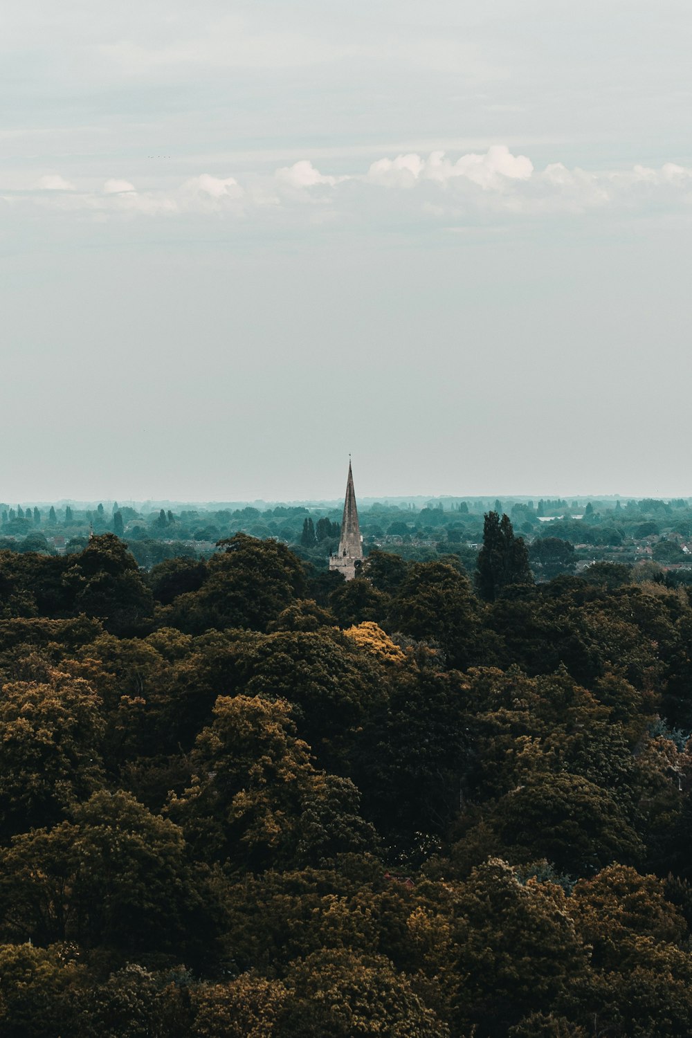 green trees near city