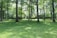 A lush, green park with tall trees casting dappled shadows on the grass. A person is practicing yoga or stretching in the open space surrounded by the serenity of nature.