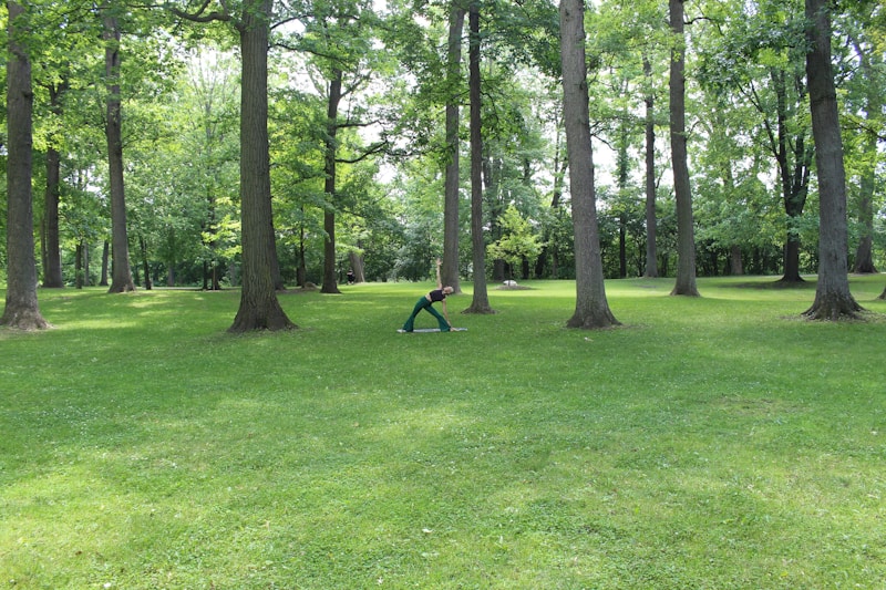 Cathkin Park