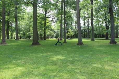 A verdant park setting with tall, mature trees spread across a lush green lawn. Sunlight filters through the dense canopy, creating patches of light and shade. In the center, a person is practicing yoga, performing a warrior pose, adding a tranquil yet energetic vibe to the scene.