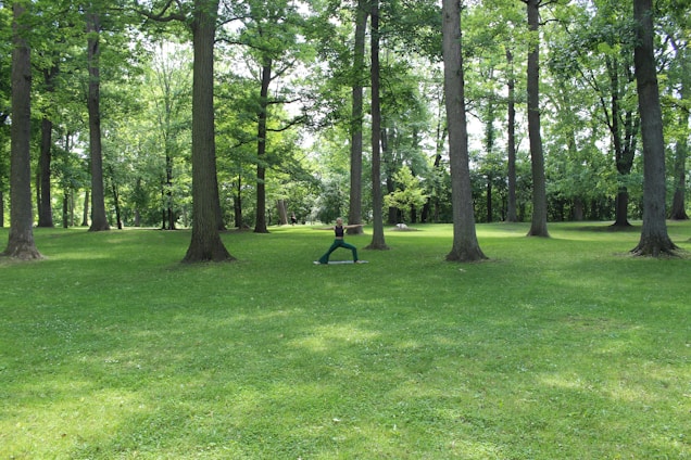 A serene courtyard where children practice yoga beside gentle cows resting under a tree.