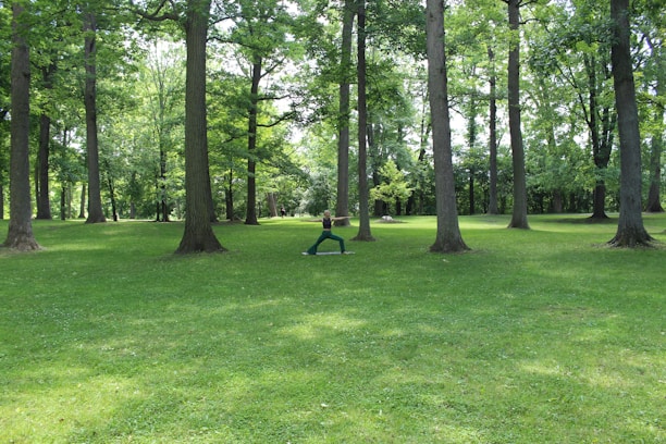 A tranquil garden setting with yoga mats laid out under palm trees and soft lighting.