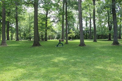 A verdant park setting with tall, mature trees spread across a lush green lawn. Sunlight filters through the dense canopy, creating patches of light and shade. In the center, a person is practicing yoga, performing a warrior pose, adding a tranquil yet energetic vibe to the scene.