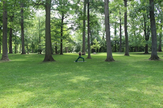 A verdant park setting with tall, mature trees spread across a lush green lawn. Sunlight filters through the dense canopy, creating patches of light and shade. In the center, a person is practicing yoga, performing a warrior pose, adding a tranquil yet energetic vibe to the scene.