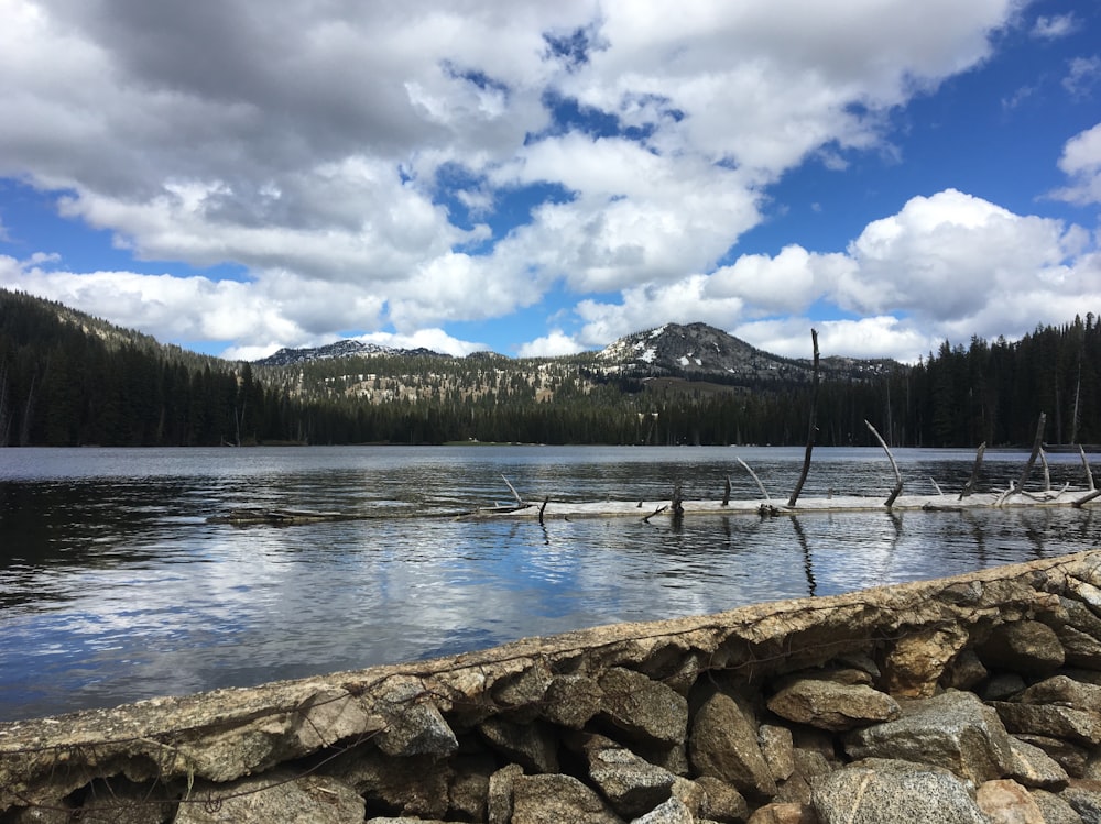 gray stones near body of water